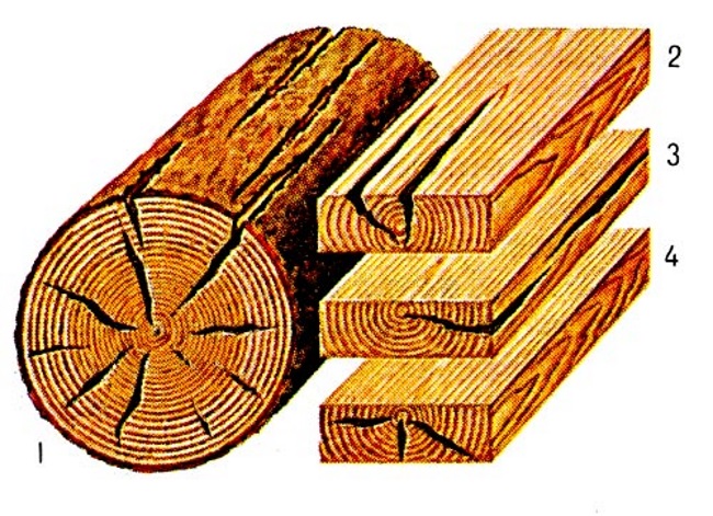 Дефекты древесины, трещины древесины