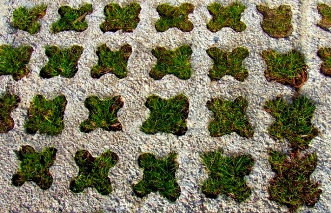 Травянной бетон