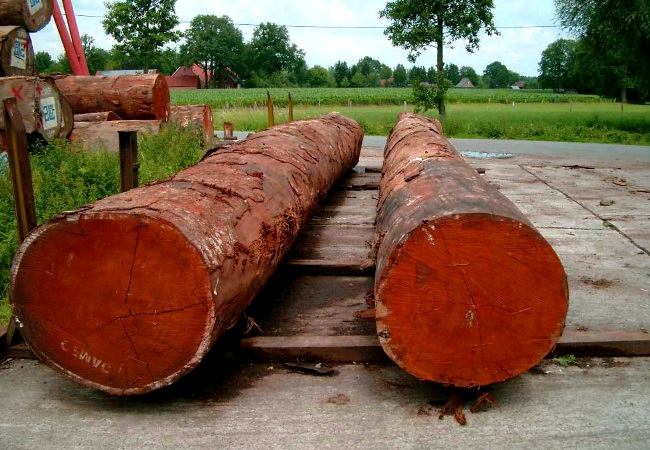 характеристики древесины мербау