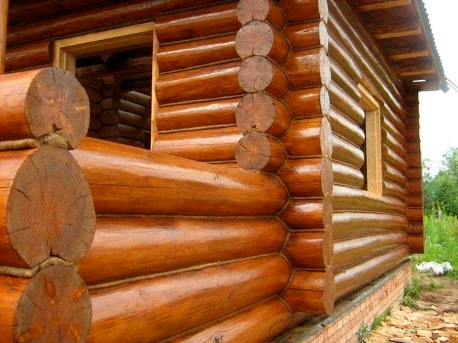 защита торцов древесины