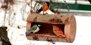 деревянная кормушка для птиц
