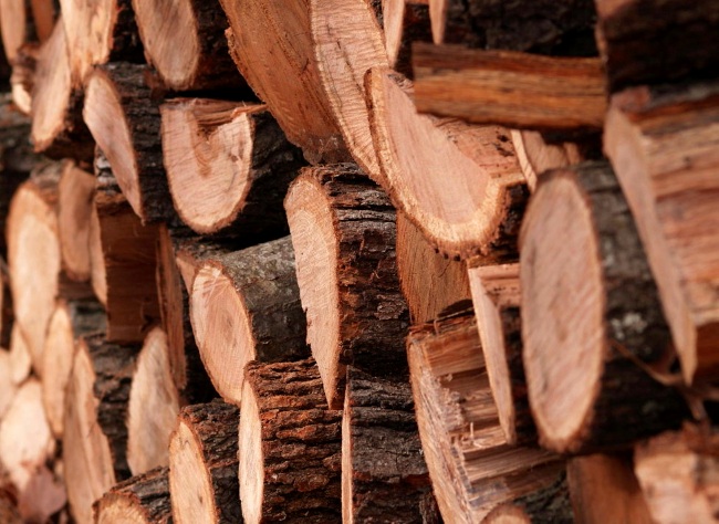 физические свойства древесины