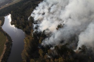Bolee 200 mln. rublej potratjat na zashhitu lesov ot pozharov na Kolyme