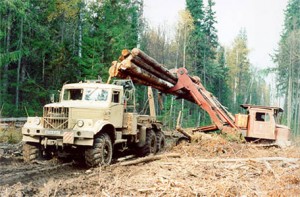 Dlja nuzhd naselenija vlasti Hakasii uluchshat zakon o zagotovke lesa
