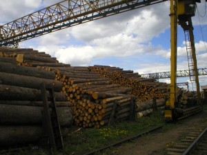 Dva «lesnyh» investproekta voshli v spisok prioritetnyh v Vologodskoj oblasti