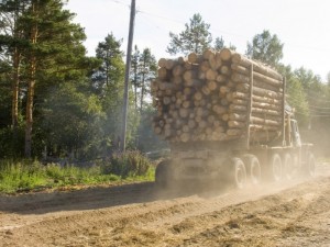 Gospredprijatija Ternopol'skogo oblastnogo upravlenija lesnogo i ohotnich'ego hozjajstva v 2012 godu sokratili rashody na gorjuche-smazochnye materialy