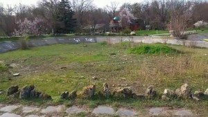Hersonskij park pustili na drova dlja shashlyka