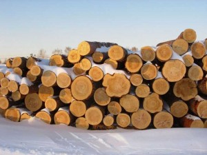Import celljulozno-bumazhnoj produkcii i drevesiny v Krasnojarskom krae vyros na 80