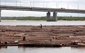 Kitajskaja AVIC investiruet 800 mln. rublej v rossijskij splav lesa