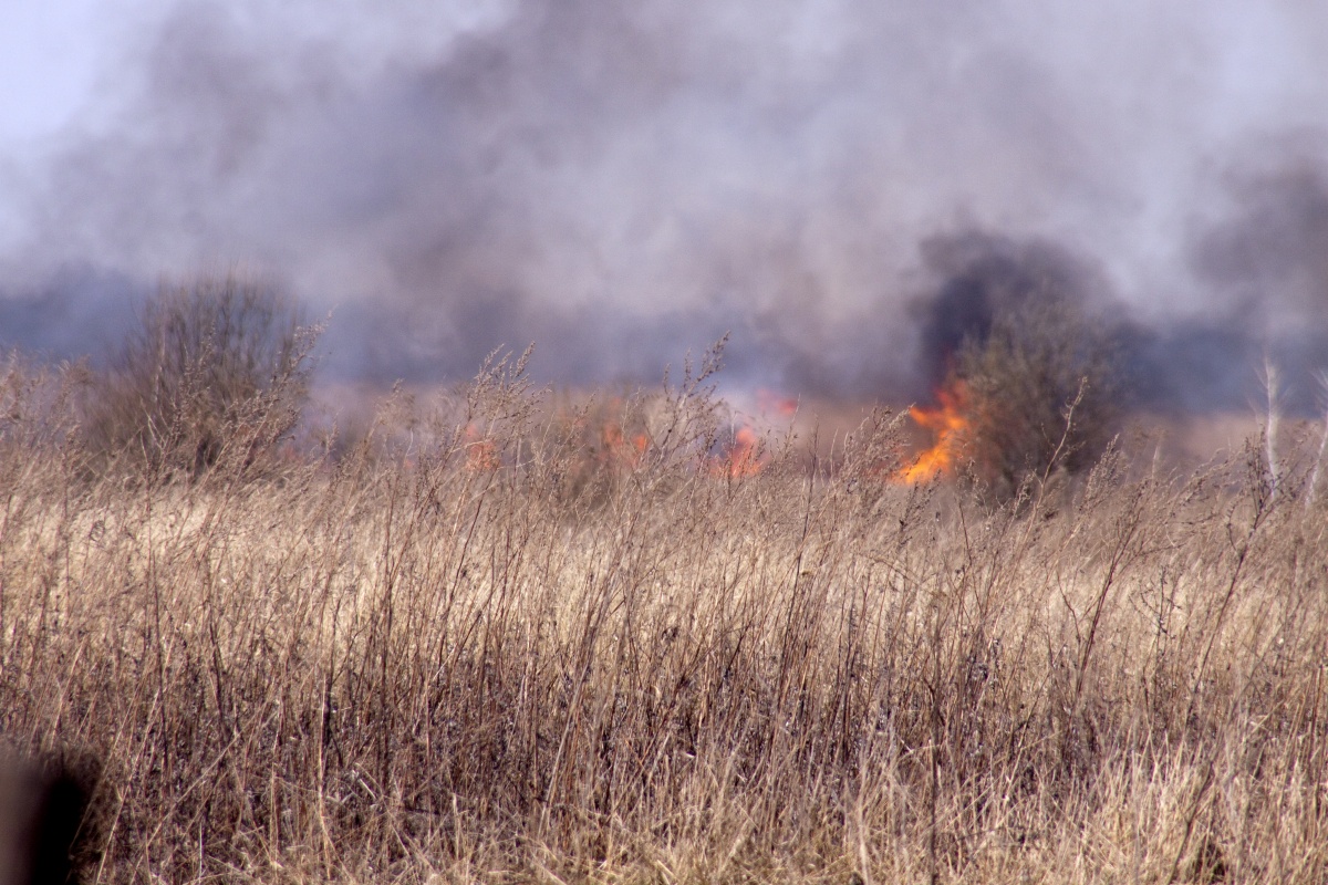Пожар в поле