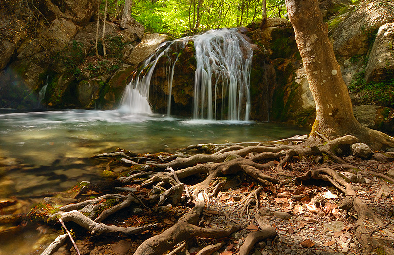 Na L'vovshhine 400-letnij dub i 12-metrovyj vodopad stanut pamjatnikami prirody
