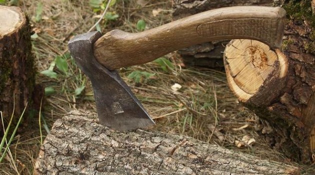Na Zhitomirshhine predprijatie unichtozhilo 1322 ga lesa na summu 6,2 mln. griven