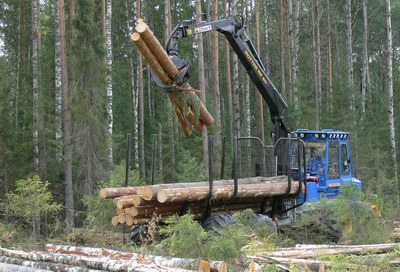Na vosstanovlenie lesnoj otrasli v Karelii vydeljat 3,2 mlrd. rubl.