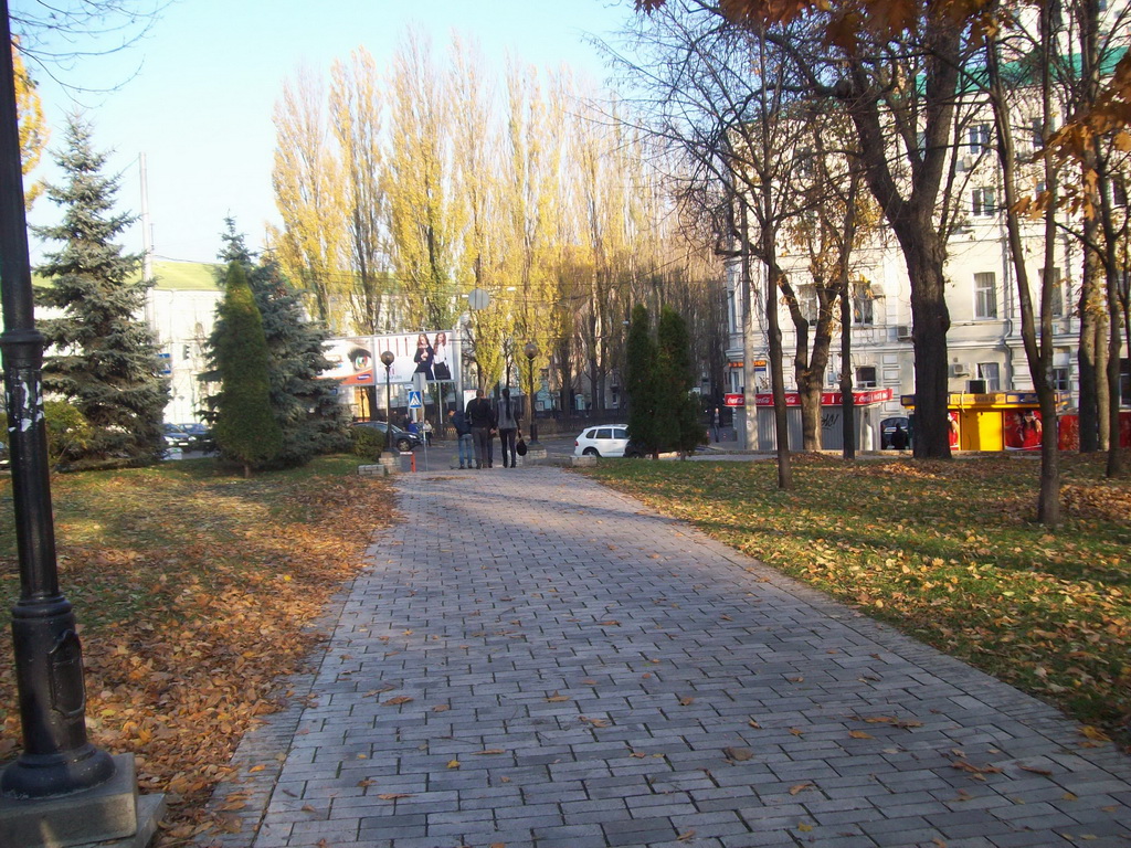 Po faktu unichtozhenija derev'ev v stolichnom parke Shevchenko vozbuzhdeno ugolovnoe delo