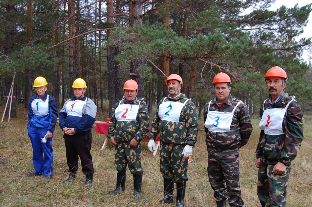 Segodnja sorok silachej so vsej Ukrainy budut borot'sja za zvanie luchshego val'shhika lesa