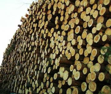 Snizilsja jeksport zabajkal'skoj drevesiny v KNR