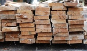 Spekuljacii na temu deficita drevesiny v Ukraine likvidirovano