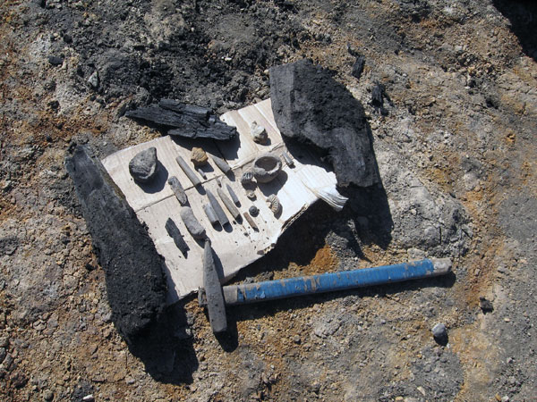 Tjumenskie geologi reshili podrabotat' «chernymi lesorubami»
