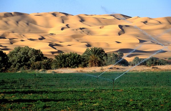 Turkmenistan ozelenit pustynju