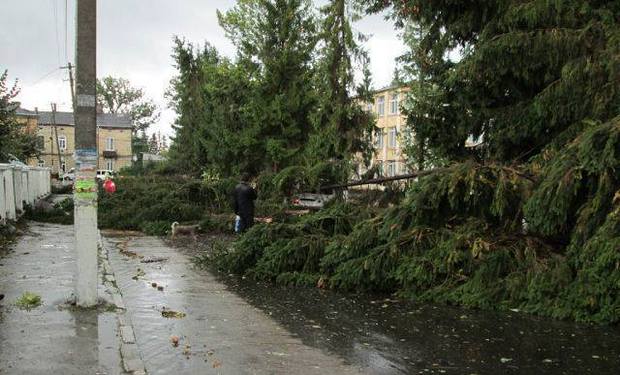 Uragan na L'vovshhine 77 povalennyh derev'ev i desjatki sorvannyh krysh