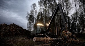 V 2013 godu v Tuve planirujut naladit' jeksport drevesiny v Kitaj i Mongoliju
