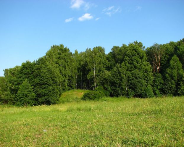 V 2014 godu Ukraina poterjala 471,76 ga pole i lesov