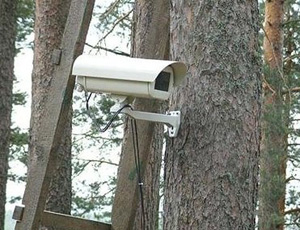 V Har'kovskih lesah ustanovjat videokamery