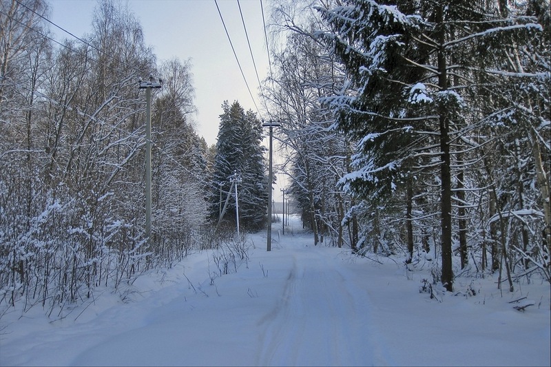 V Karelii proveli soveshhanie po povodu raskistki i rasshirenija prosek LJeP