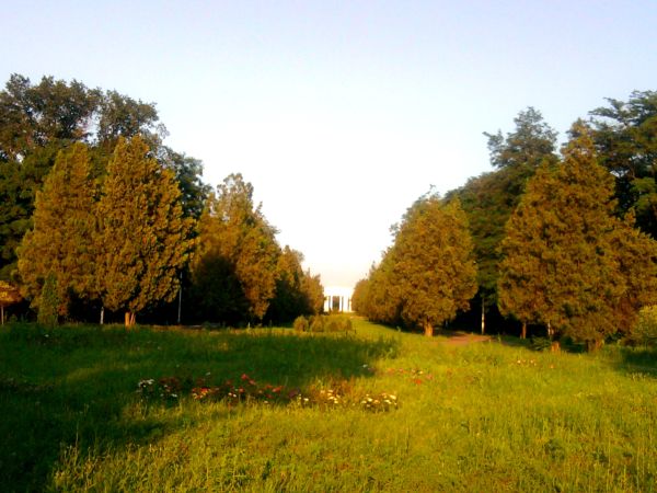 V Mariupole rubjat parki dlja obogreva sobstvennyh zhilishh