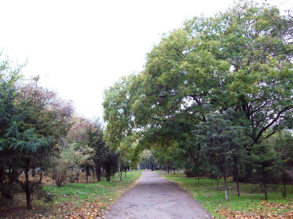 V Odesse nachali blagoustraivat' park im. Leninskogo komsomola