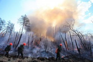 V Rossii nachalsja sezon lesnyh pozharov - vygorelo 1,3 tys. ga lesa