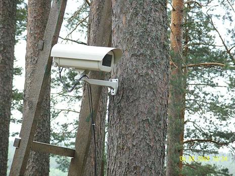 V Seljatinskom lesu ustanovjat kamery videonabljudenija