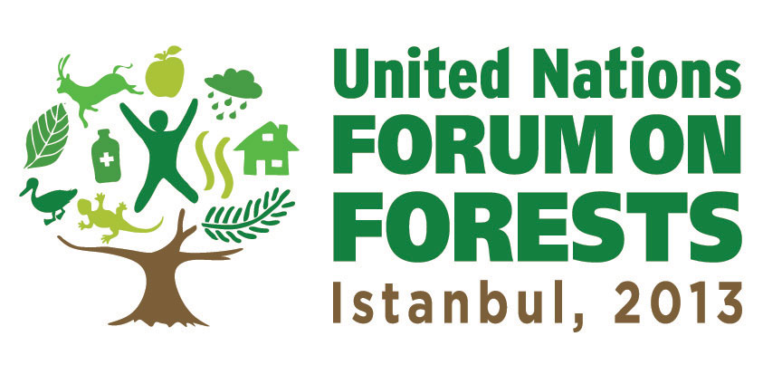V Stambule prohodit desjataja sessija Foruma OON po lesam