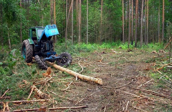 V lesu na Ternopol'shhine proizoshla uzhasnaja tragedija