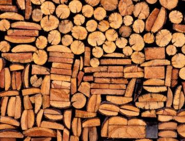 V otdalennyh poselkah Murmanskoj oblasti uvelichat normy otpuska drevesiny