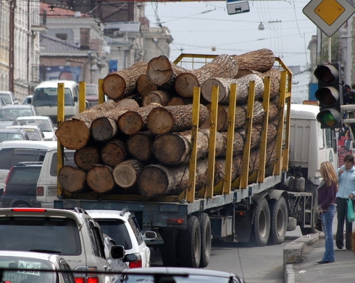 VR predlagaet vvesti poshlinu na jeksport drevesiny iz Ukrainy