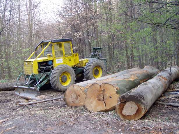 Vo L'vovskoj oblasti traktor smertel'no travmiroval 50-letnego lesnika