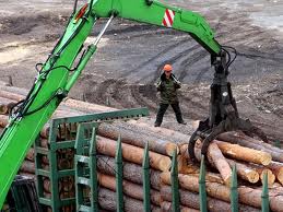 Vskore Ukraina stolknetsja s problemami jeksporta drevesiny v ES