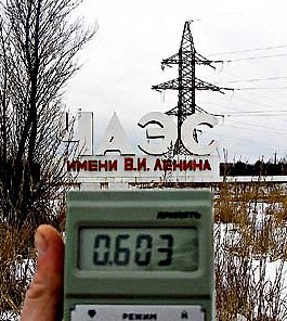 Чернобыль законсервировал леса