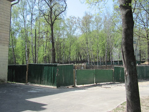gendel01_250713Rekonstrukcija «tualeta» v parke na Podole soprovozhdaetsja vyrubkoj drevnih dubov