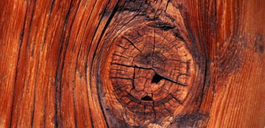 дефекты древесины, сучки древесины