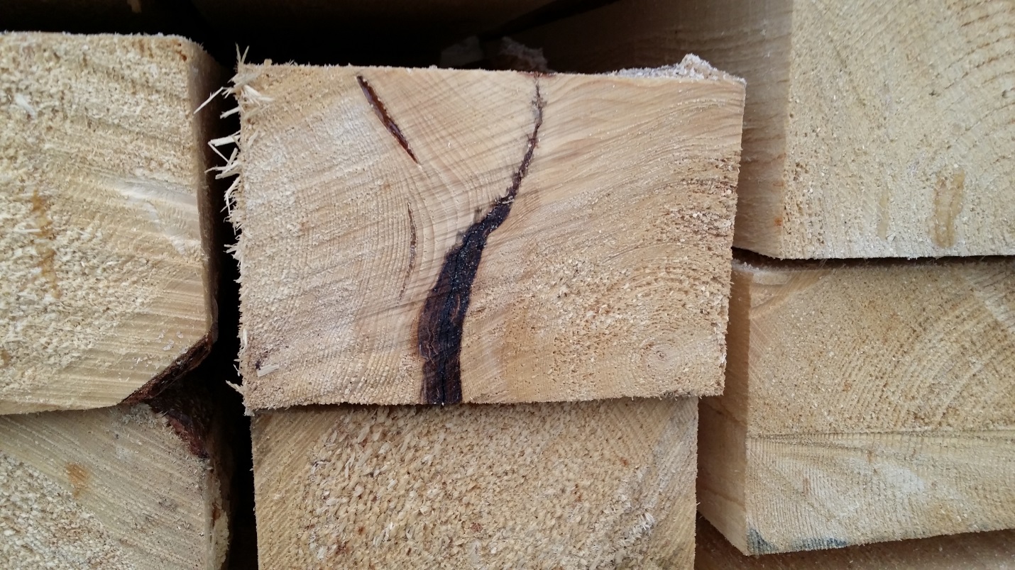 дефекты древесины, прорость древесины