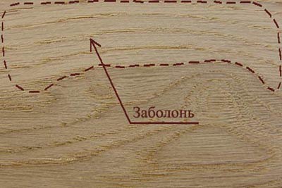 Пороки древесины, внутренняя заболонь древесины