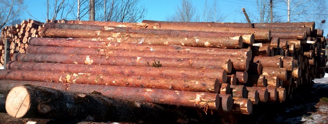 Классификация лесоматериалов