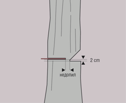 Как спилить дерево - 2 этап