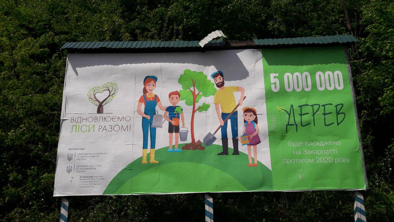 5 000 000 деревьев в Закарпатской области